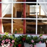 Pavillon 14.9 Fenster mit Blumenkasten